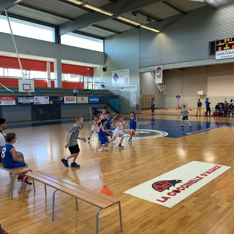 FORMATIONS_CJS_GEISPOLSHEIM3 800X800 | CJS Geispolsheim Formations du CJS Geispolsheim : micro-basket, école de basket & école d’arbitrage en Alsace Obernai 4