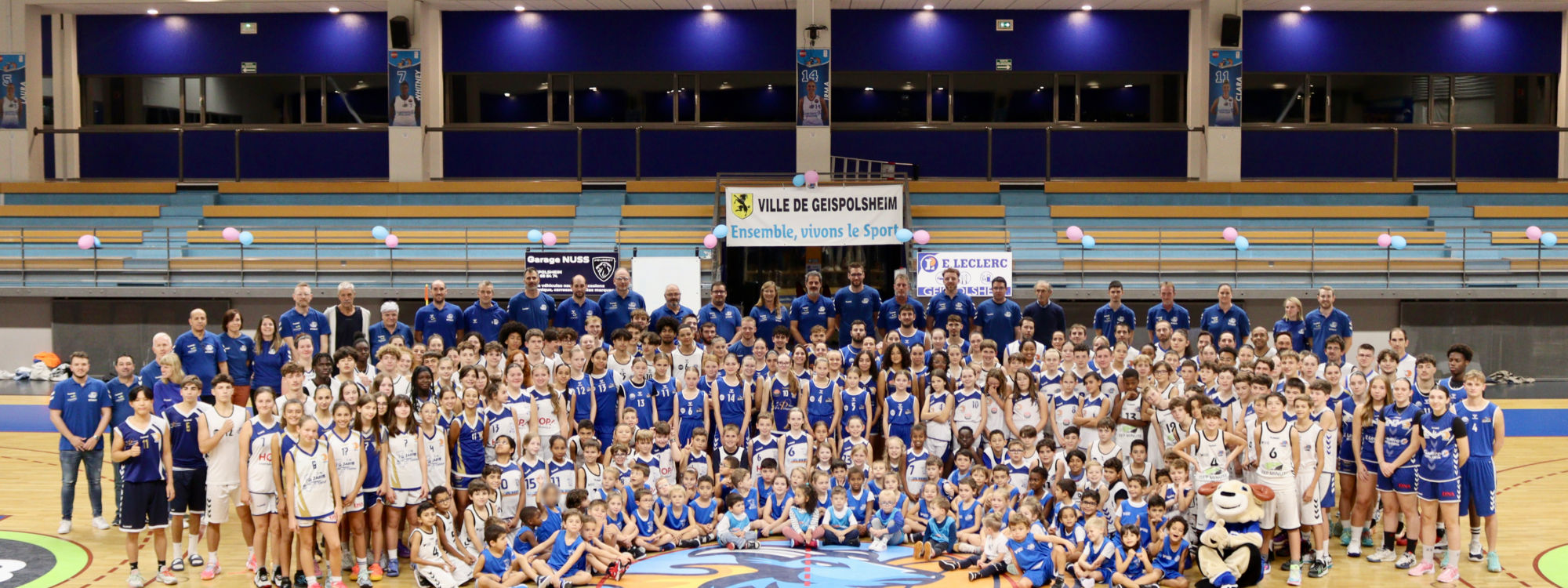 CJS Geispolsheim : un club de basket majeur en Alsace depuis plus de 20 ans Illkirch-Graffenstaden